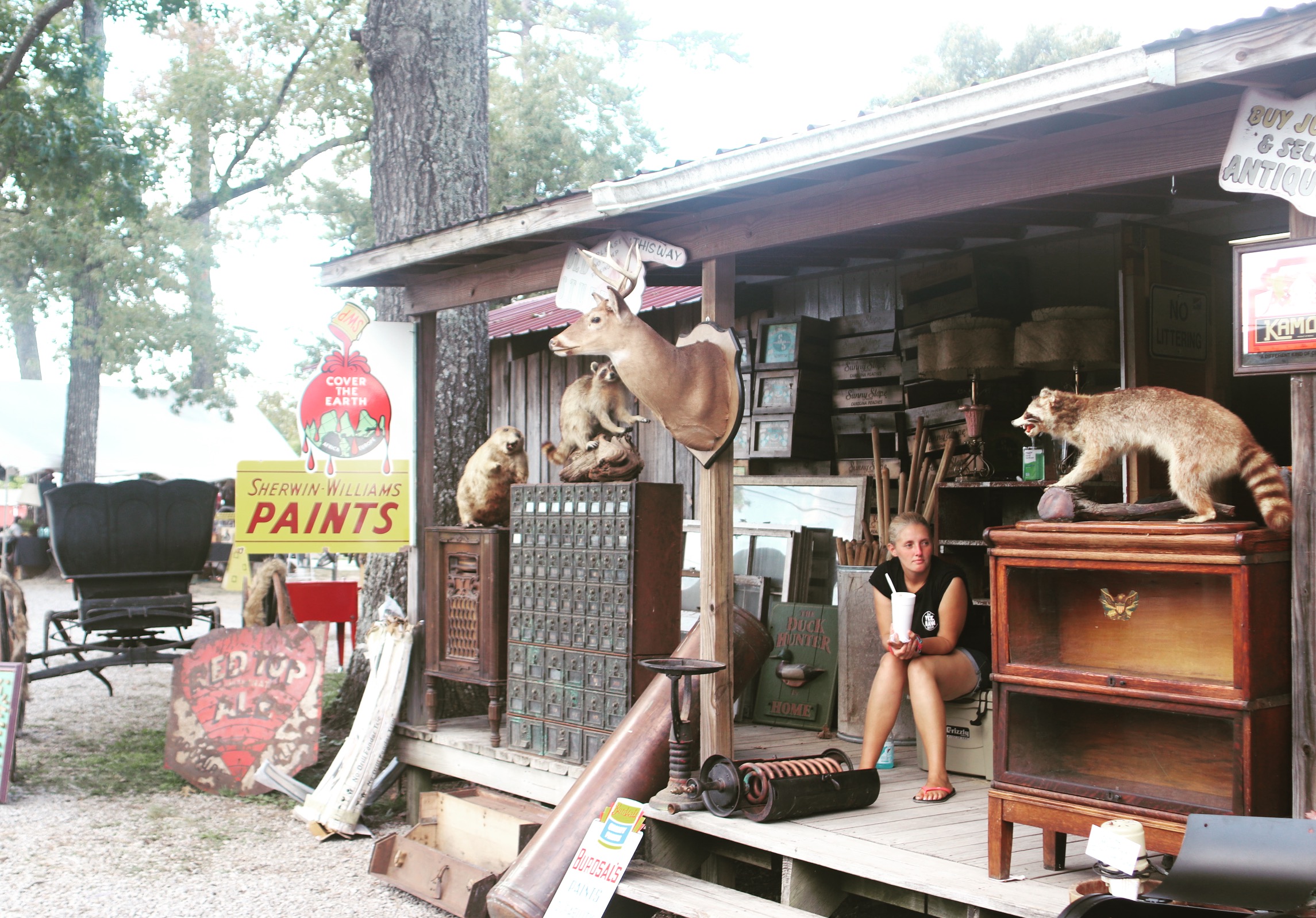 The Highway 127 World's Longest Yard Sale
